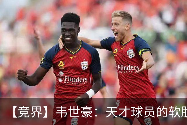 【竞界】韦世豪：天才球员的软肋 洪七公效应的外溢